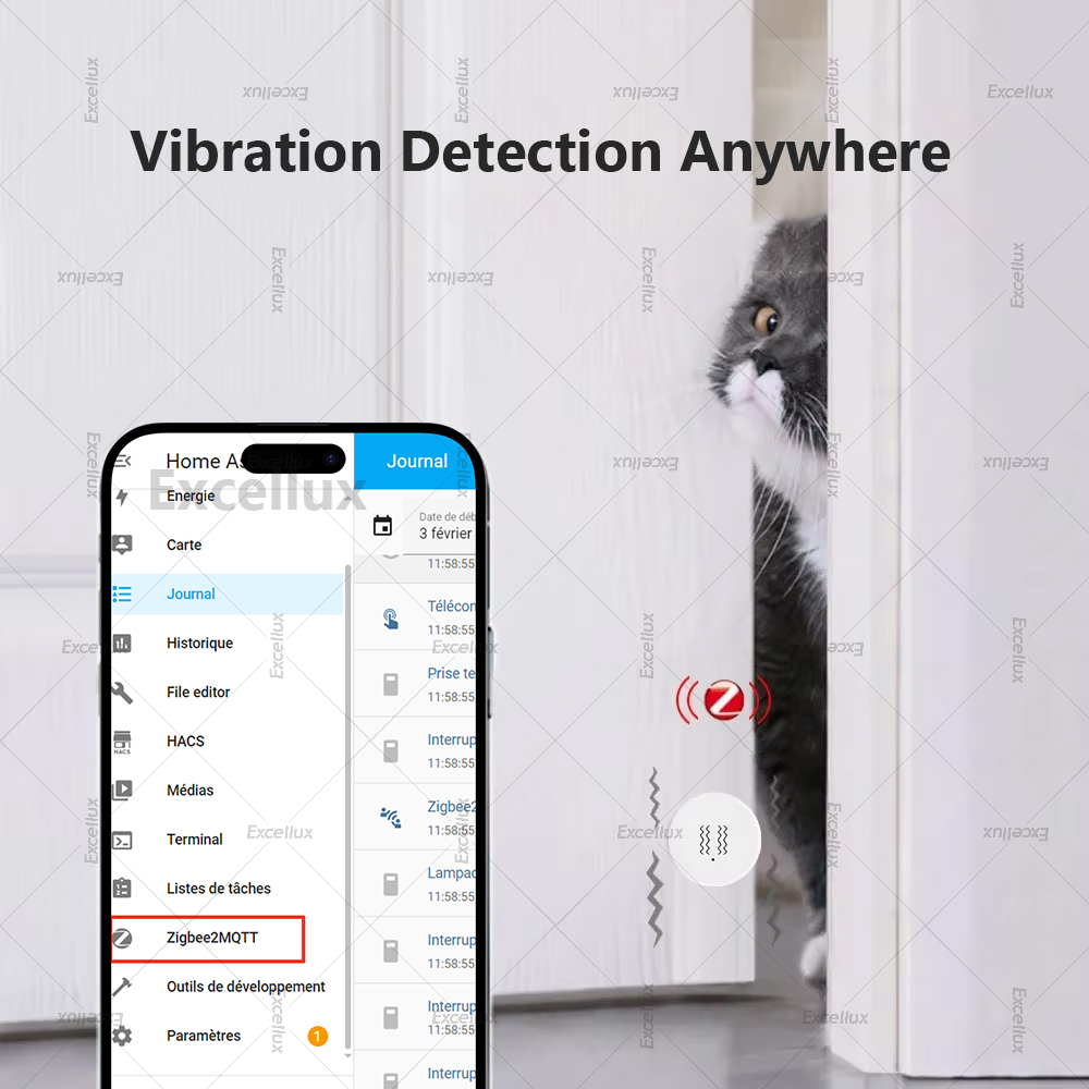 Zigbee 3.0 slimme trillingssen - Home Security App recensie en prijs