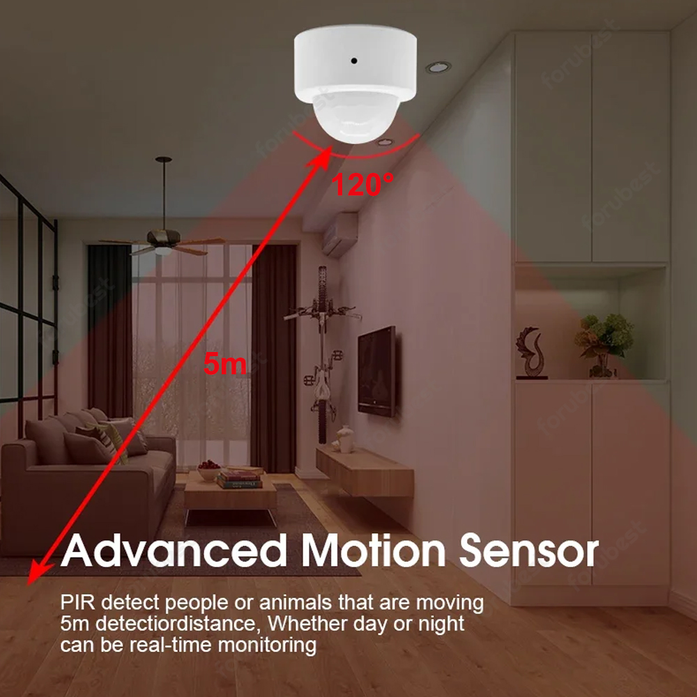 Zigbee 3.0 Menselijke beweging - Home Security App recensie en prijs
